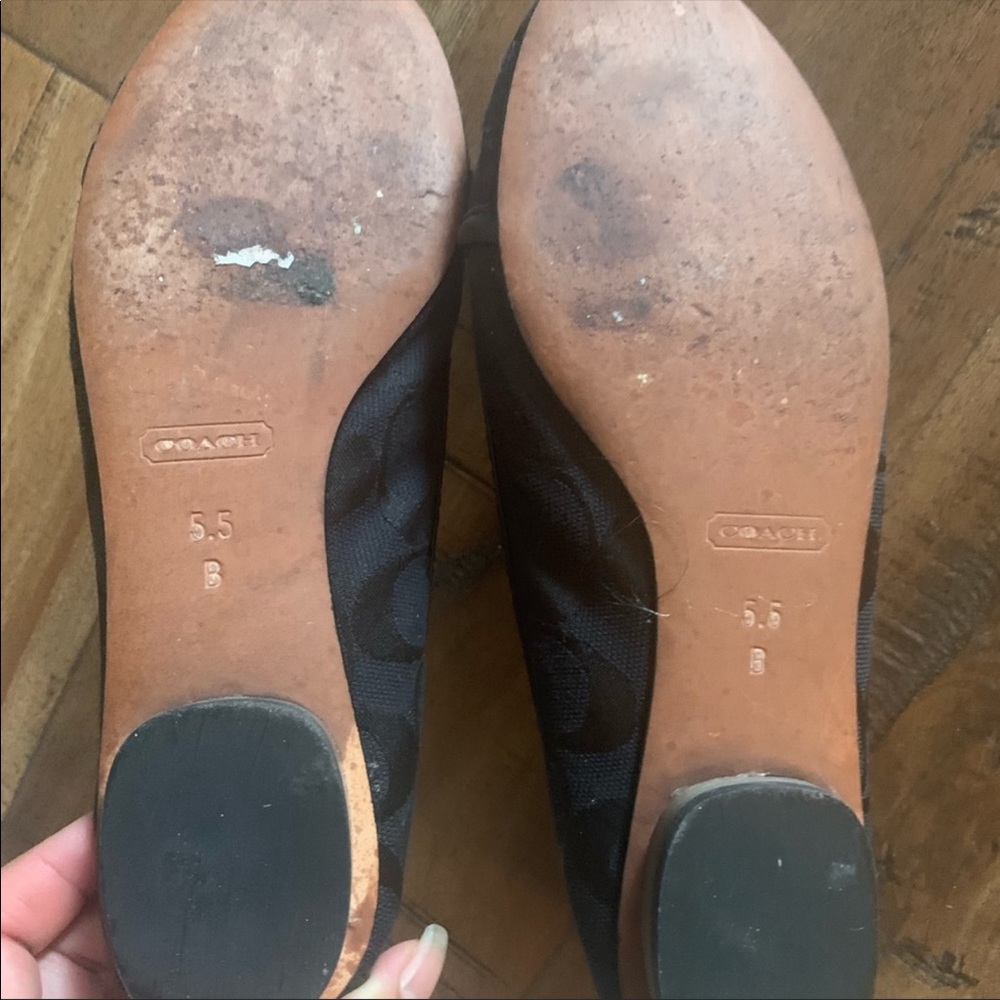 Coach - Picture 4 of 6